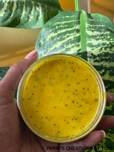 Load image into Gallery viewer, Foaming Sugar Scrub 2 Oz / Turmeric Honey + Ginger